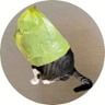 Logo de catwifbag