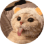 Logo de Tongue Cat