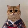 Logo de Cat Own Kimono