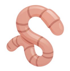 Logo Chikn Worm