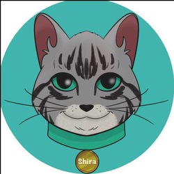 Logo Shira Cat