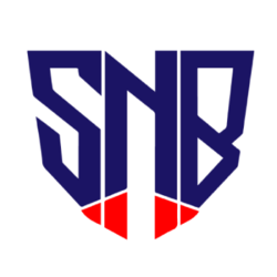 Logo Safe Nebula