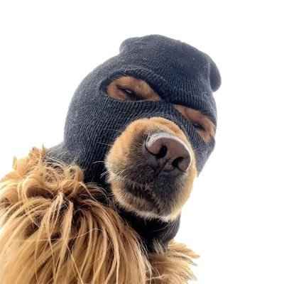 Logo de SKI MASK DOG