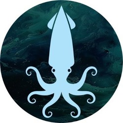 Logo Squidswap