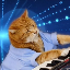 Logo de Keyboard Cat