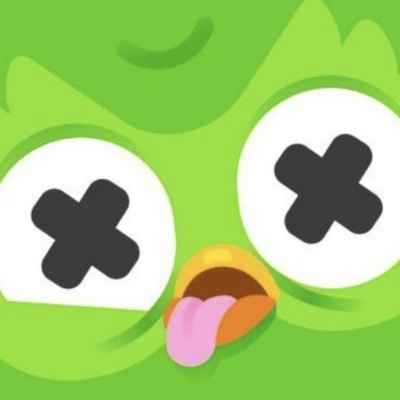 Logo de Duolingo Owl