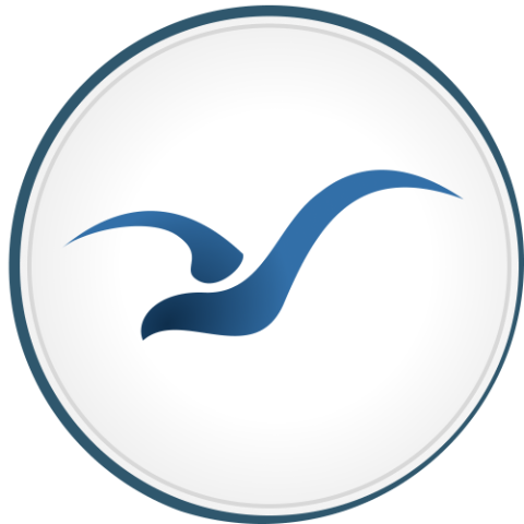 Logo de Gull ai